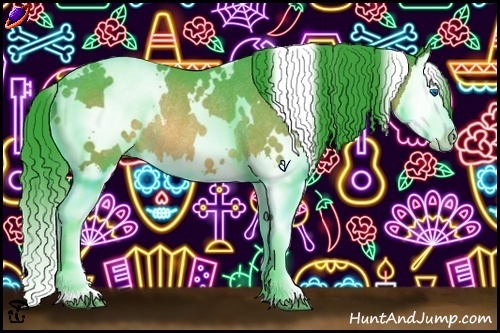 Horse Color:Watercolor White Spotted Buckskin Splash Rabicano