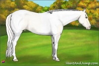 Horse Color:Silver Classic Cream Champagne Ice Roan Pearl Dun Tobiano 