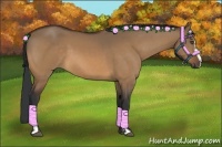 Horse Color:Bay Dun Sabino Frame