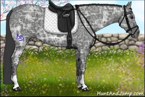 Horse Color:Smoky Black Ice