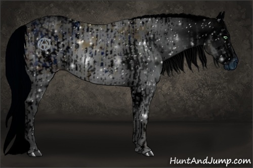 Horse Color:ERROR: UNKNOWN ANOMALY and ERROR: UNKNOWN ANOMALY