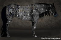 Horse Color:ERROR: UNKNOWN ANOMALY and ERROR: UNKNOWN ANOMALY