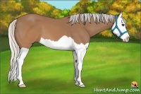 Horse Color:Silver Brown Splash 