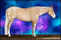 Horse Color:Silver Bay Pearl Sabino 