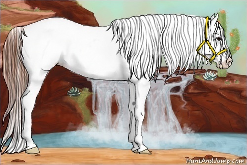 Horse Color:Grullo Varnish Rabicano
