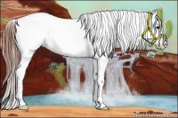 Horse Color:Grullo Appaloosa Rabicano