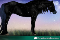 Horse Color:ERROR: UNKNOWN ANOMALY