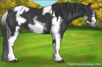 Horse Color:White Spotted Black Splash Tobiano Frame Varnish