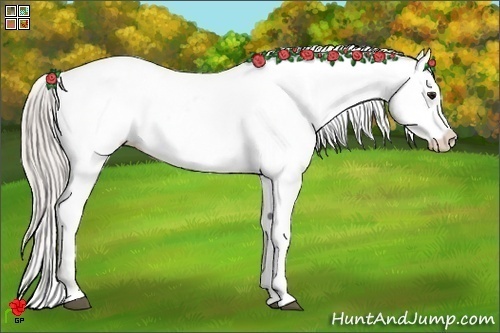 Horse Color:White Spotted Silver Bay Appaloosa 
