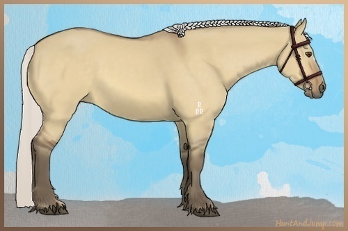 Horse Color:Silver Buckskin Dun 