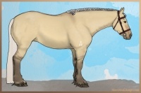 Horse Color:Silver Buckskin Dun 