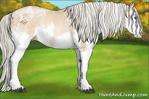 Horse Color:White Spotted Silver Bay Ice Pearl Splash