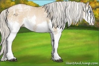 Horse Color:White Spotted Silver Bay Ice Pearl Splash 