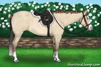 Horse Color:Amber Champagne Roan Dun Splash