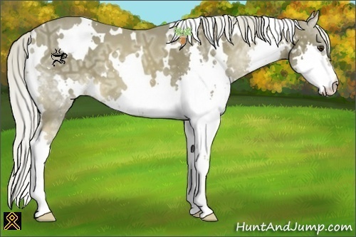 Horse Color:White Spotted Chocolate Palomino Ice Splash 