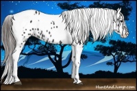 Horse Color:Black Ice Splash Tobiano Varnish Rabicano 
