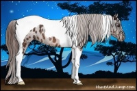 Horse Color:Bay Ice Tobiano Varnish Rabicano