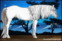 Horse Color:Amber Champagne Ice Tobiano Appaloosa Rabicano 
