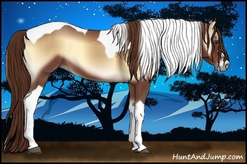 Horse Color:Red Onyx Tobiano 