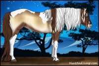 Horse Color:Red Onyx Tobiano 