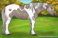 Horse Color:Silver Grullo Tobiano