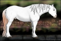 Horse Color:Bay Splash Tobiano Varnish Brindle
