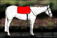Horse Color:Palomino Roan Frame Varnish 