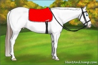 Horse Color:White Spotted Smoky Black Splash Frame Appaloosa