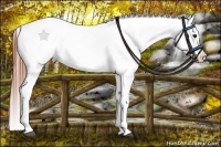 Horse Color:Bay Splash Tobiano Blanket  Brindle