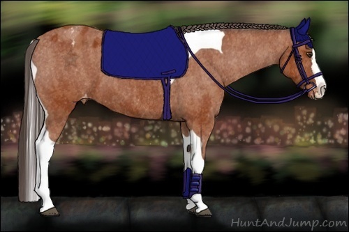 Horse Color:Bay Splash Tobiano Varnish  Brindle