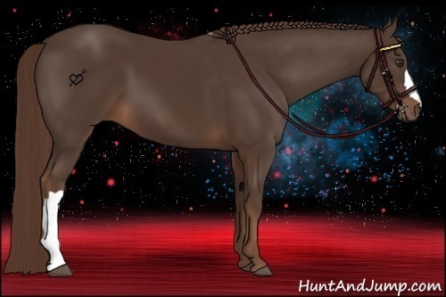 Horse Color:Liver Chestnut 