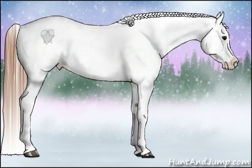 Horse Color:Bay Splash Tobiano Blanket Brindle