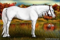 Horse Color:Silver Amber Champagne Splash Tobiano Frame Snowcap