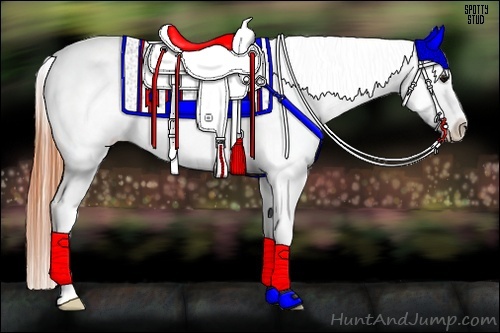 Horse Color:Bay Splash Tobiano Blanket Brindle