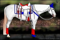 Horse Color:Bay Splash Tobiano Blanket  Brindle