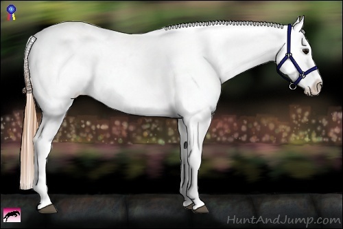 Horse Color:Smoky Black Tobiano Varnish