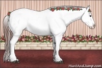 Horse Color:Bay Splash Tobiano Varnish Brindle