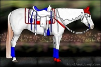 Horse Color:Bay Splash Tobiano Appaloosa Brindle