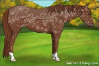 Horse Color:Chestnut Ice 