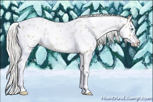 Horse Color:White Spotted Silver Smoky Black Pearl Appaloosa