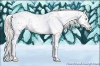 Horse Color:White Spotted Silver Smoky Black Pearl Near Leopard 