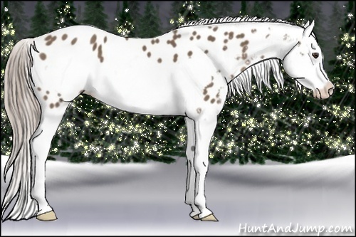 Horse Color:Chocolate Palomino Splash Frame Appaloosa 