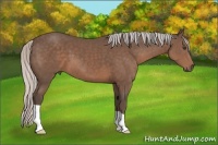 Horse Color:Silver Black 