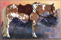 Horse Color:White Spotted Chestnut 