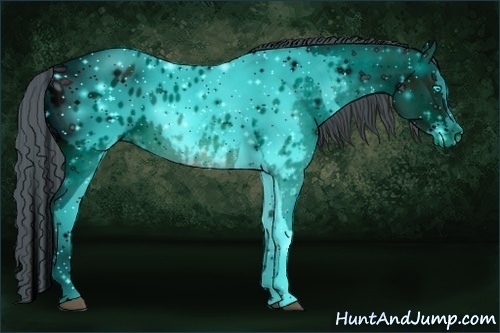 Horse Color:ERROR: UNKNOWN ANOMALY Brindle