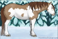 Horse Color:Red Dun Splash Frame 