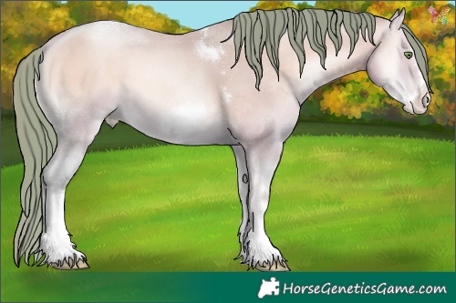 Horse Color:Watercolor Amber Champagne Pearl Onyx Sabino Tobiano Frame 