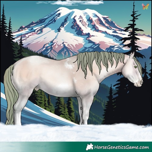 Horse Color:Watercolor Amber Champagne Pearl Onyx Sabino Tobiano Frame 