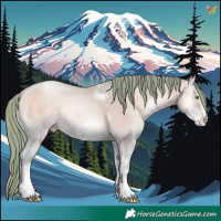 Horse Color:Watercolor Amber Champagne Pearl Onyx Sabino Tobiano Frame