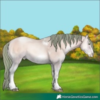 Horse Color:Watercolor Amber Champagne Pearl Onyx Sabino Tobiano Frame 